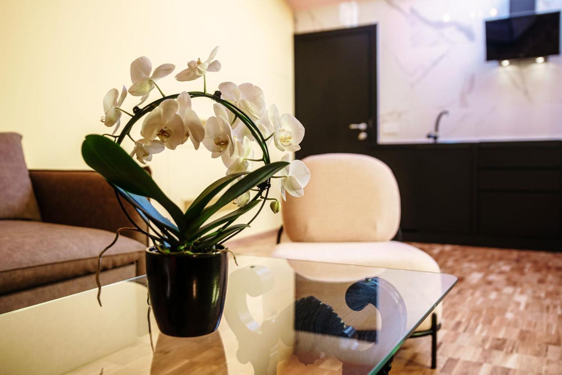 Aurum - Como Luxury Suites Стая снимка